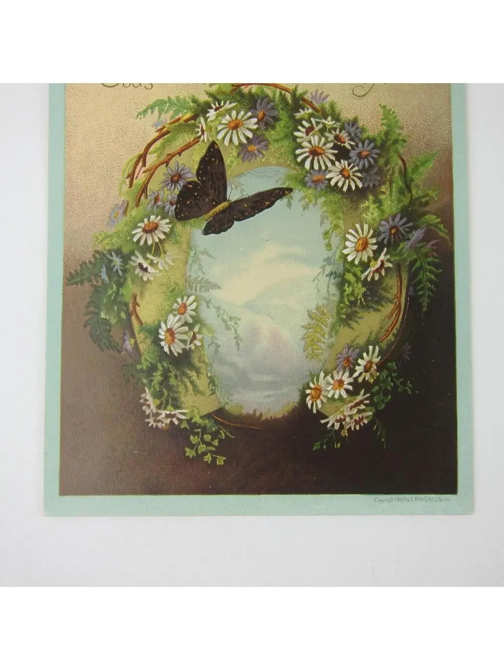 Victorian Greeting Card Purple White Daisy Flowers Butterfly Birds Antique 1883